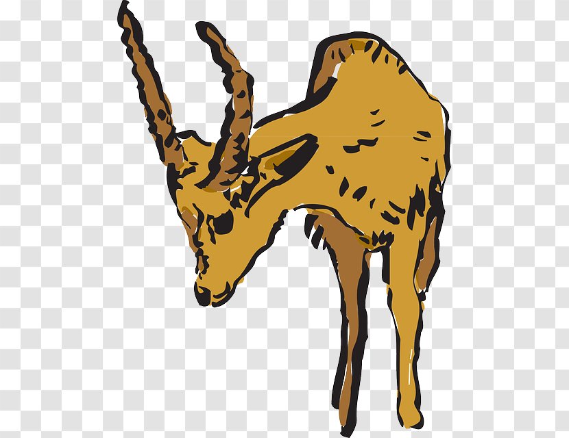 Giraffe Antelope Pronghorn Deer Clip Art - Fauna Transparent PNG