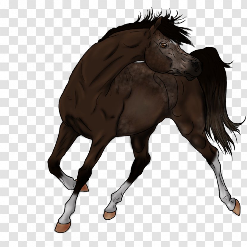 Mustang Stallion Foal Colt Mare - Fictional Character Transparent PNG