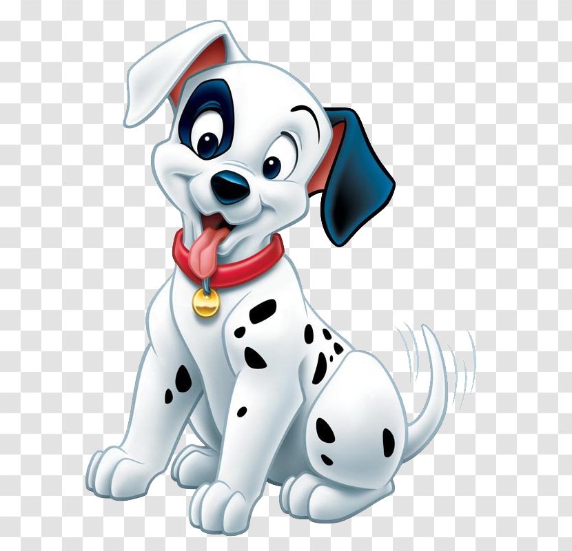 puppy dalmatian dog