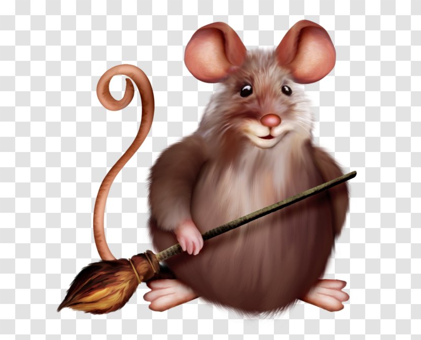 Computer Mouse Rat Rodent Clip Art - Muridae Transparent PNG