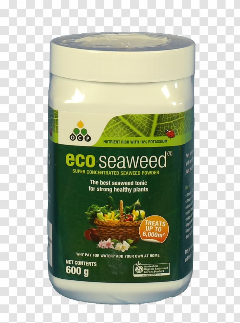 Seaweed Plant Rose Superfood Extract - Herb Transparent PNG