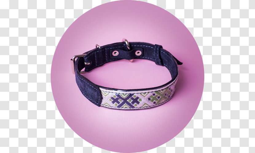 Dog Collar - Purple - Collars Transparent PNG