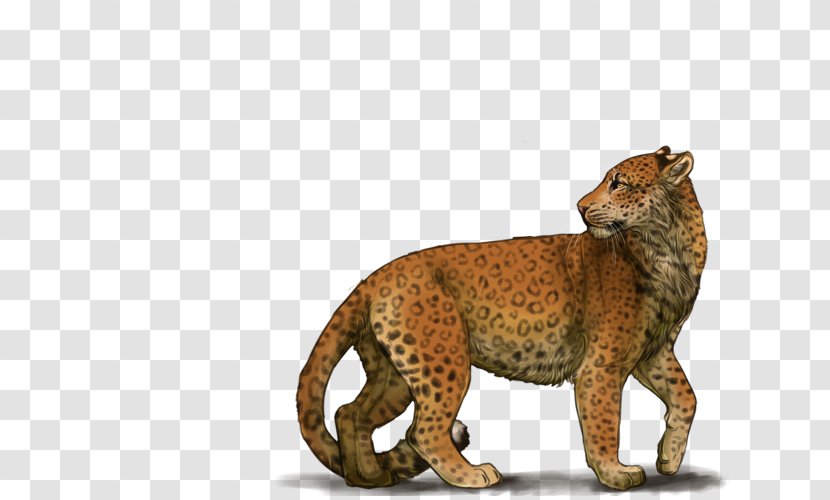 Cheetah Leopard Puma Terrestrial Animal Wildlife - Fauna Transparent PNG