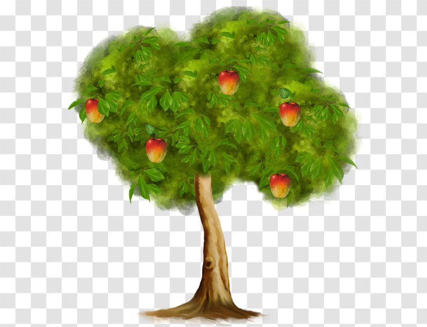 Apples Clip Art - Tree - Green Apple Transparent PNG