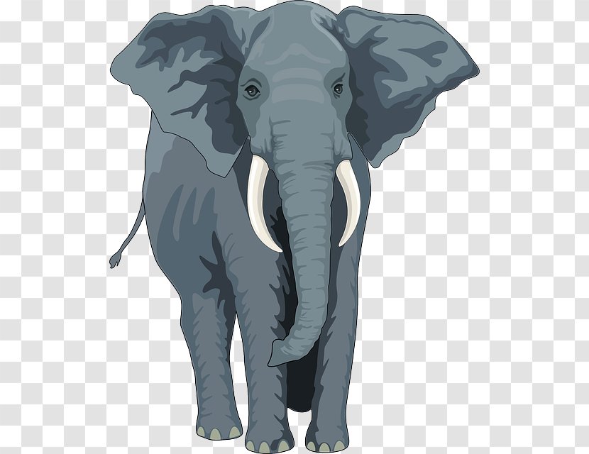 Asian Elephant African Elephantidae The Elephants Clip Art - And Mammoths - Phone Icon Black White Transparent PNG