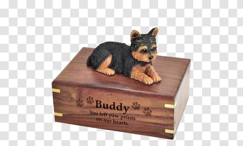 Yorkshire Terrier Chihuahua Puppy Dog Breed Urn - Carnivoran Transparent PNG