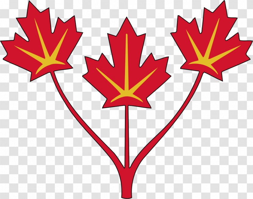 Flag Of Canada United States Maple Leaf - Images Leaves Transparent PNG