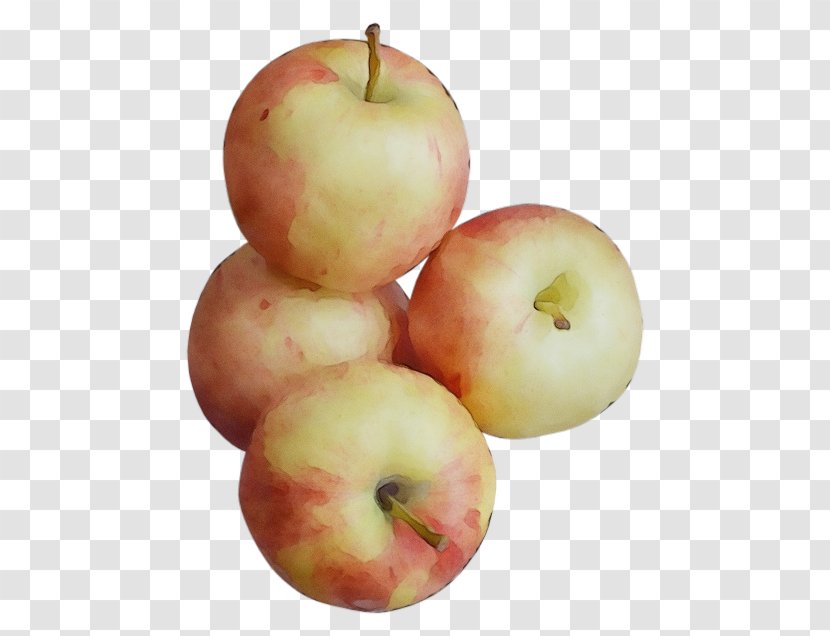 Apple Fruit Natural Foods Food Plant - Flowering - Mcintosh Transparent PNG