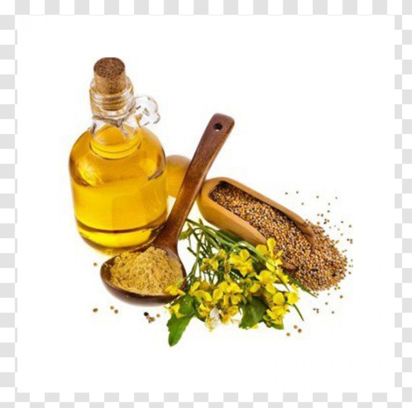 Mustard Oil Plant Seed Indian Cuisine Transparent PNG
