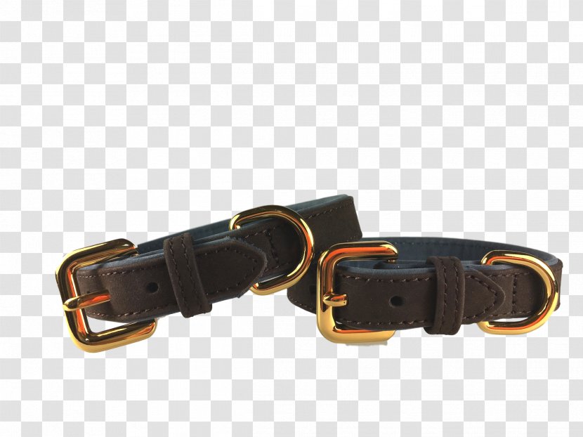 Belt Dog Collar Buckle - Fashion Accessory Transparent PNG