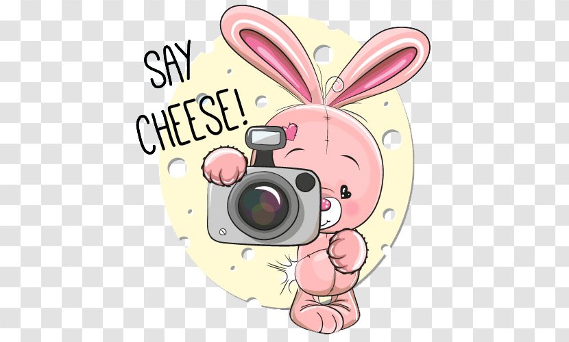 Say Cheese Photography Illustration - Frame - Rabbit Transparent PNG