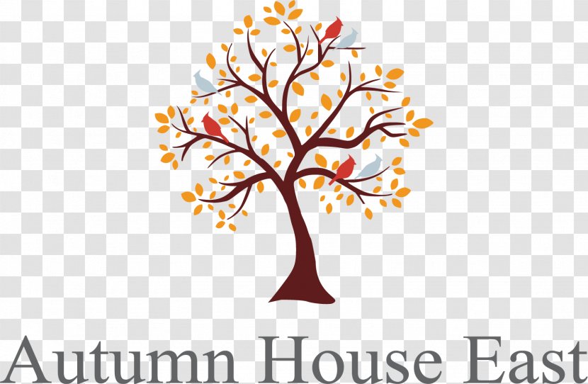 Autumn House West Assisted Living East Holland Community - Tree - Oak Transparent PNG