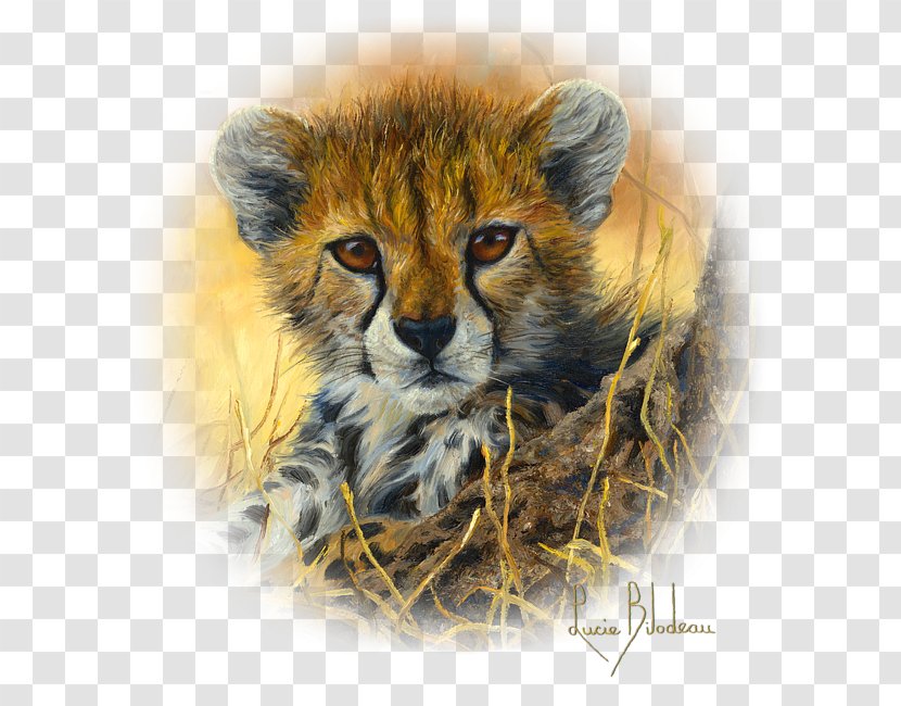 Leopard South African Cheetah T-shirt Painting Art - Cat Like Mammal Transparent PNG