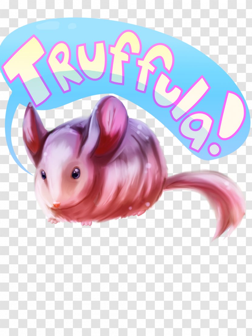 Hamster Whiskers Computer Mouse Pink M Snout Transparent PNG