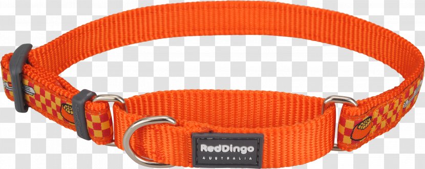 Dingo Longdog Dog Collar Martingale - Fashion - Cat Transparent PNG