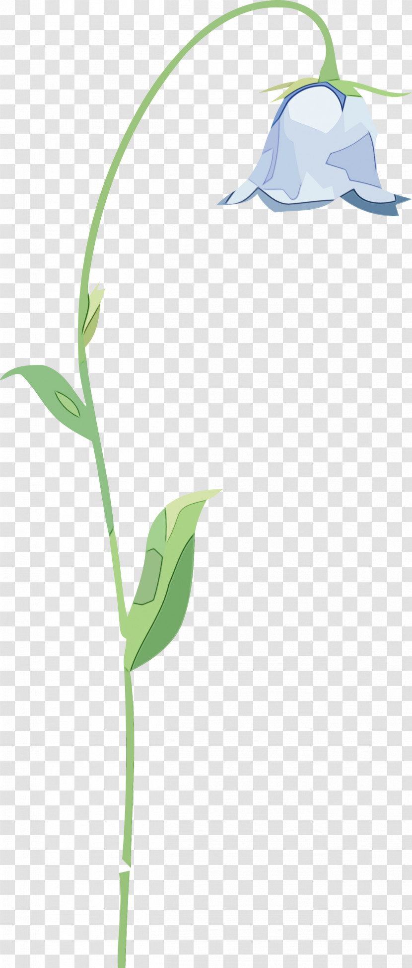 Flower Plant Stem Grasses Leaf Lilac Transparent PNG