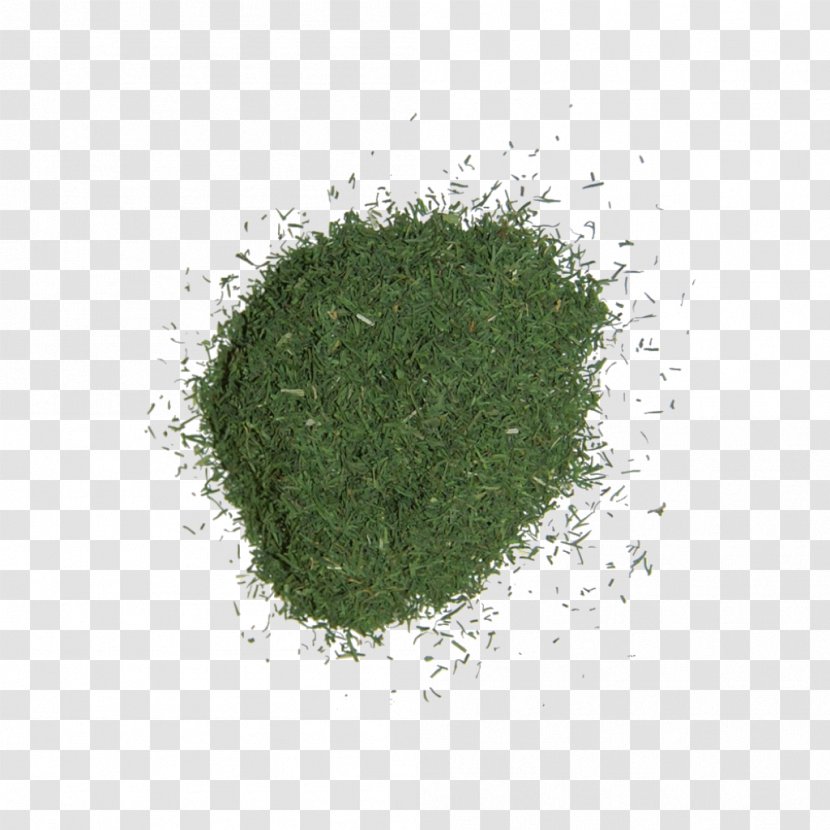 Green - Grass - CHINESE HERBS Transparent PNG