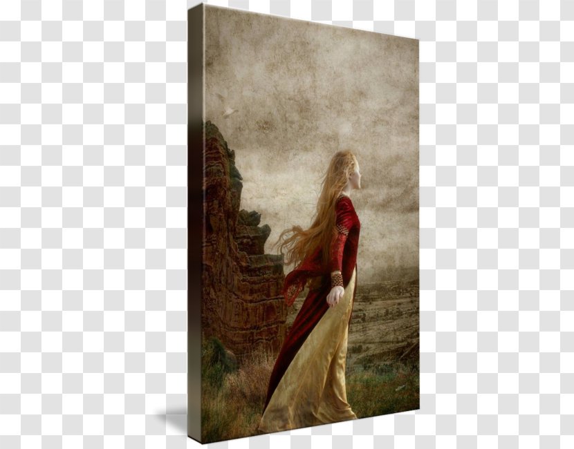 Gallery Wrap Canvas Art Stock Photography - Printing - Wall Transparent PNG
