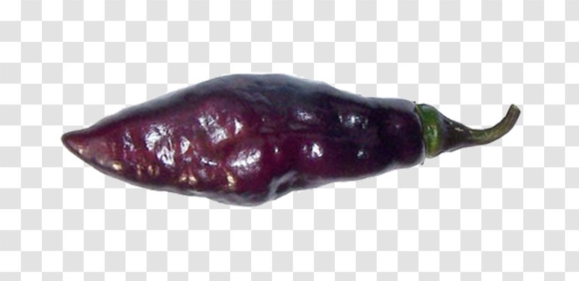 Chili Pepper Pasilla Cayenne Biber Con Carne - Bhut Jolokia Transparent PNG