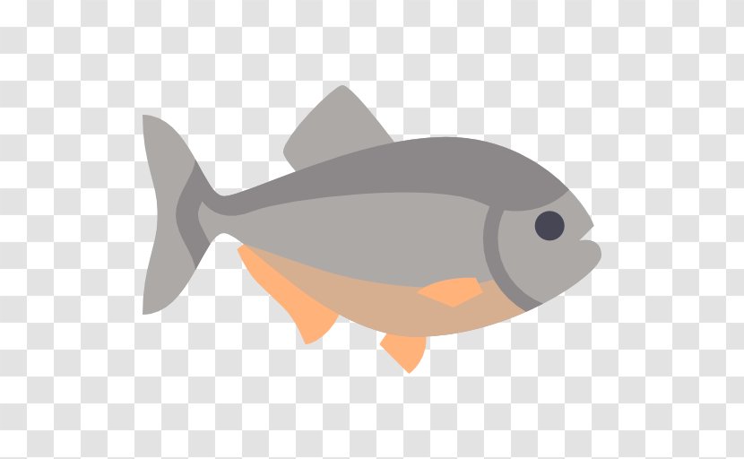 Seafood Fin Fauna - Icon Design - Fish Transparent PNG