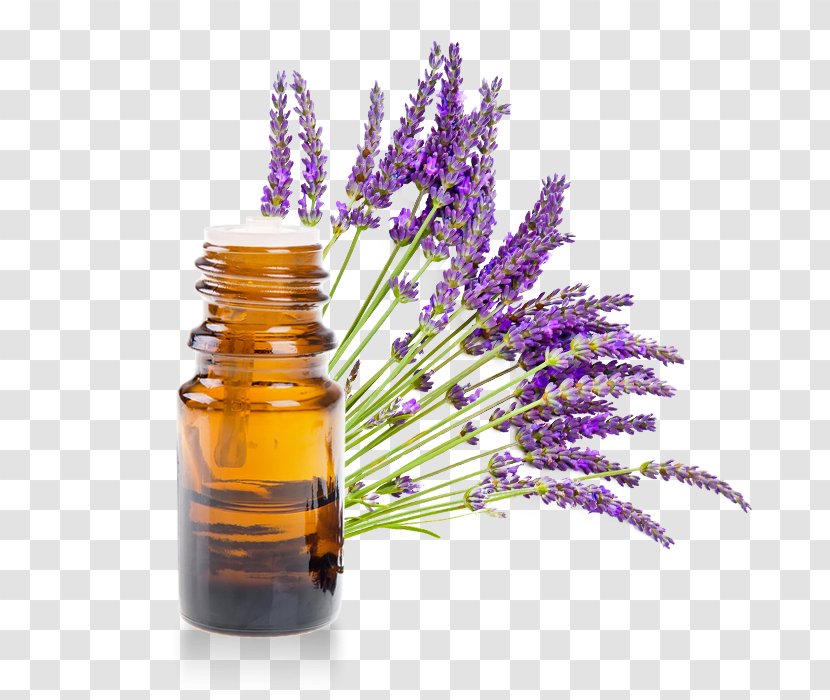 English Lavender Essential Oil Litsea Cubeba - Ingredients Transparent PNG