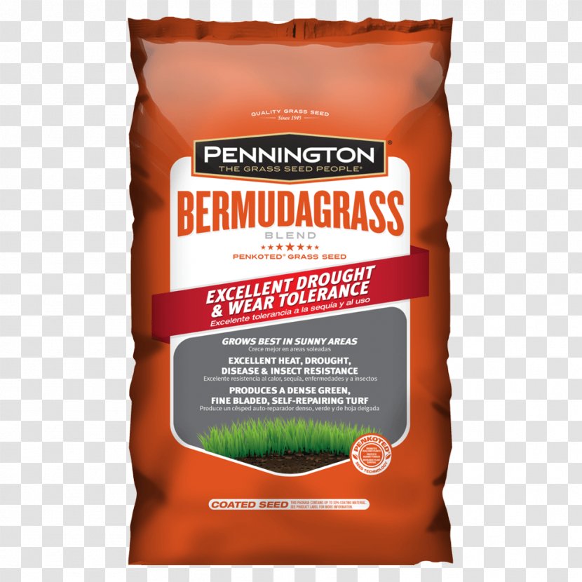 Lawn Scutch Grass Scotts Miracle-Gro Company Seed Sod - Paspalum Notatum - Miraclegro Transparent PNG
