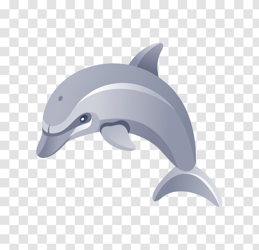 Download Clip Art - Short Beaked Common Dolphin - Marine Life,dolphin Transparent PNG