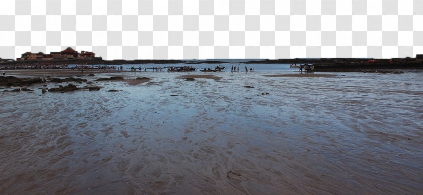 Water Resources Wood Sky - Panorama - Shishi Beach Photography Transparent PNG