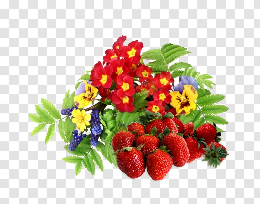 Strawberry Image Desktop Wallpaper Design - Plant - Banksia Coccinea Flowers Transparent PNG