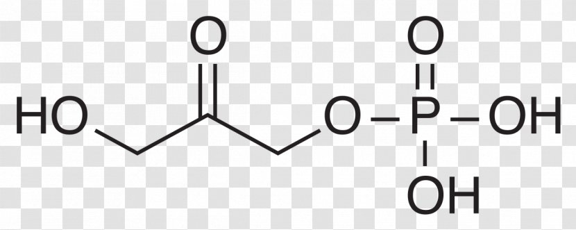 Dihydroxyacetone Phosphate Glyceraldehyde Glycerol Structure - Flower - Tree Transparent PNG