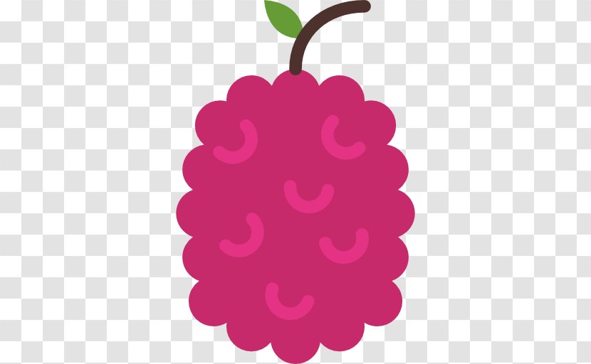 Fruit Grape Icon - Purple Transparent PNG