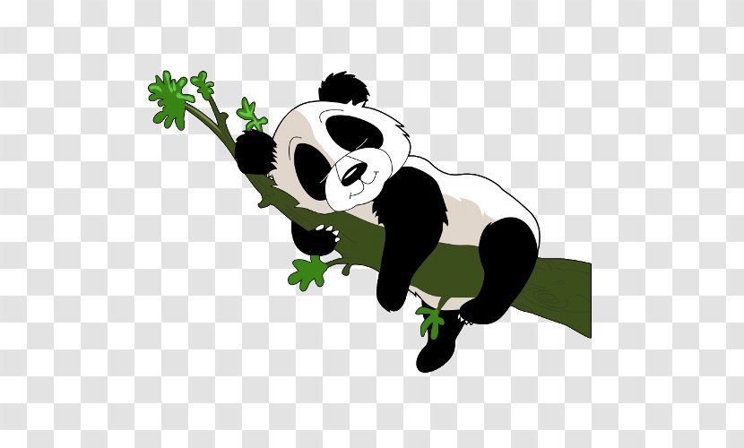 Giant Panda Bear Drawing Clip Art - Baby Transparent PNG