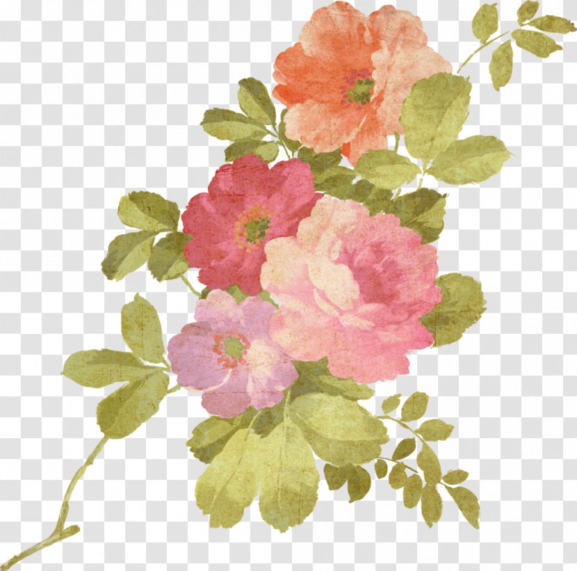 Watercolour Flowers Watercolor Painting - Branch - Blood Letter Happybirthday Transparent PNG