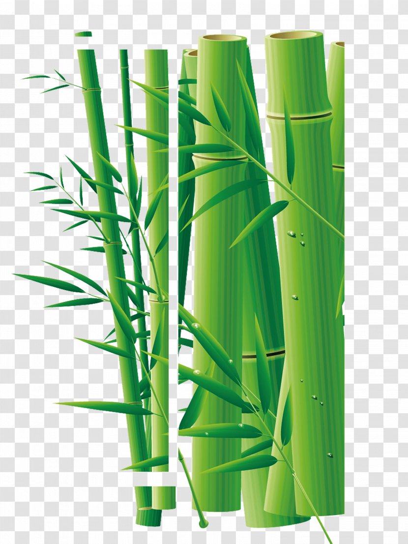 Daqing Bamboo Adobe Illustrator - Computer Software - Leaves Transparent PNG