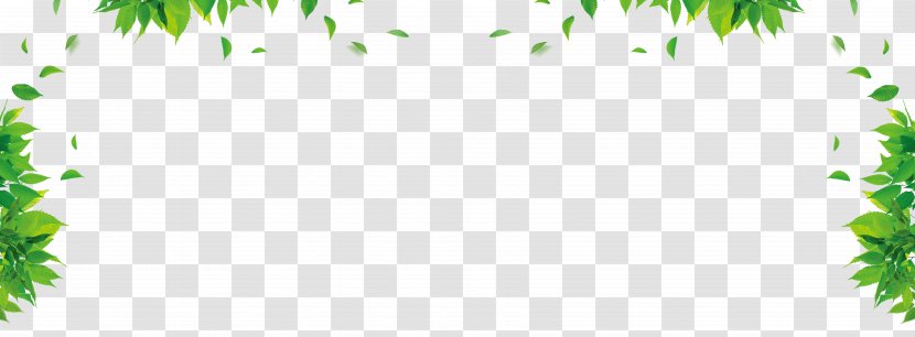 Leaf Graphic Design Green Floral Pattern - Text - Leaves Border Transparent PNG