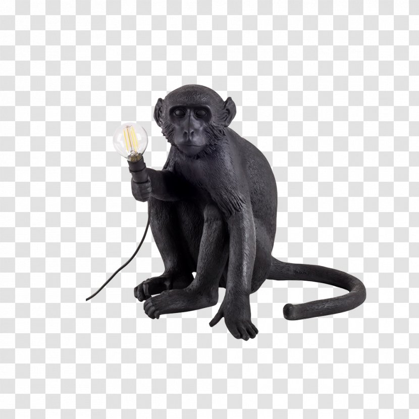 Lamp Lighting Incandescent Light Bulb Electric - Lightemitting Diode - Monkey Transparent PNG