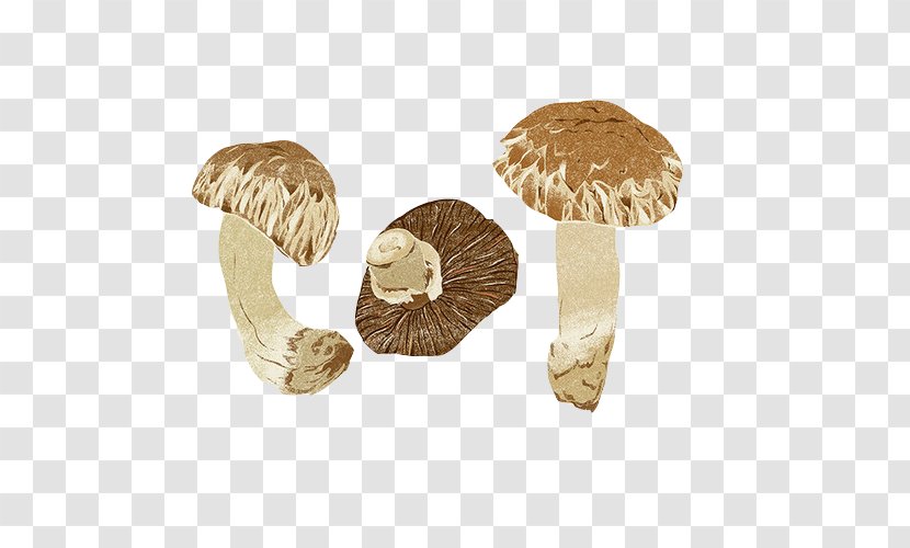 Zongzi Mushroom Fungus Painting - Champignon - Hand Material Picture Transparent PNG
