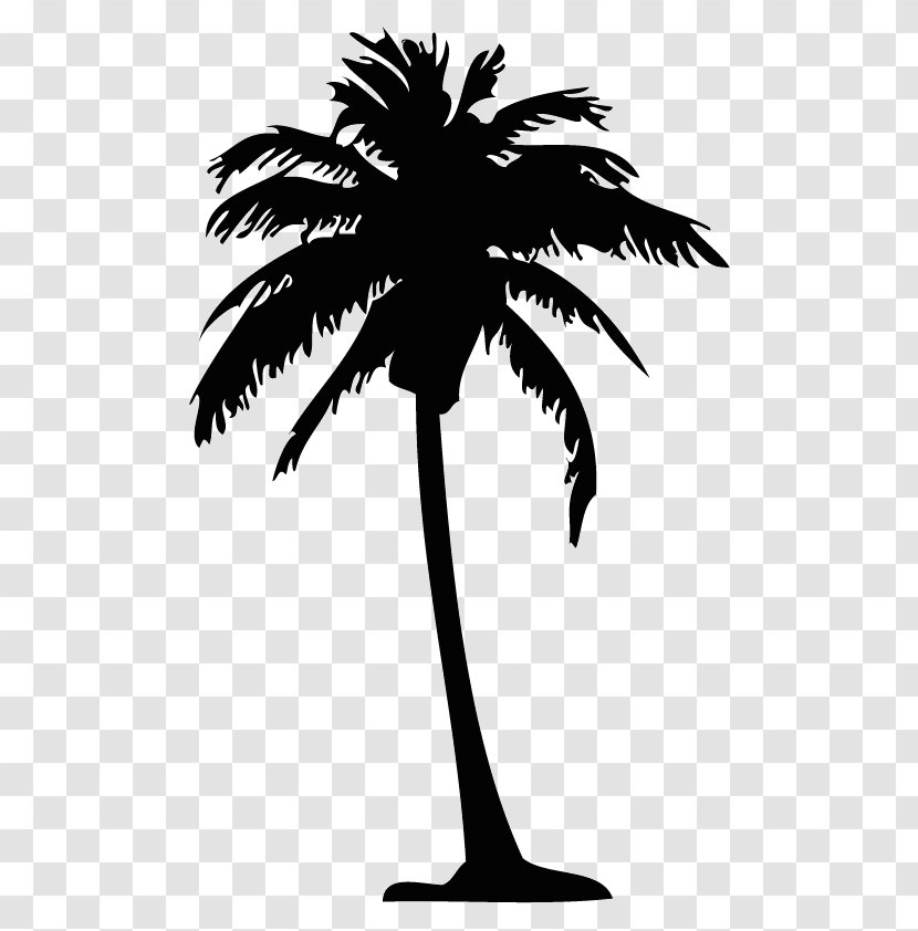 Arecaceae Silhouette Drawing Tree Clip Art - Arecales Transparent PNG
