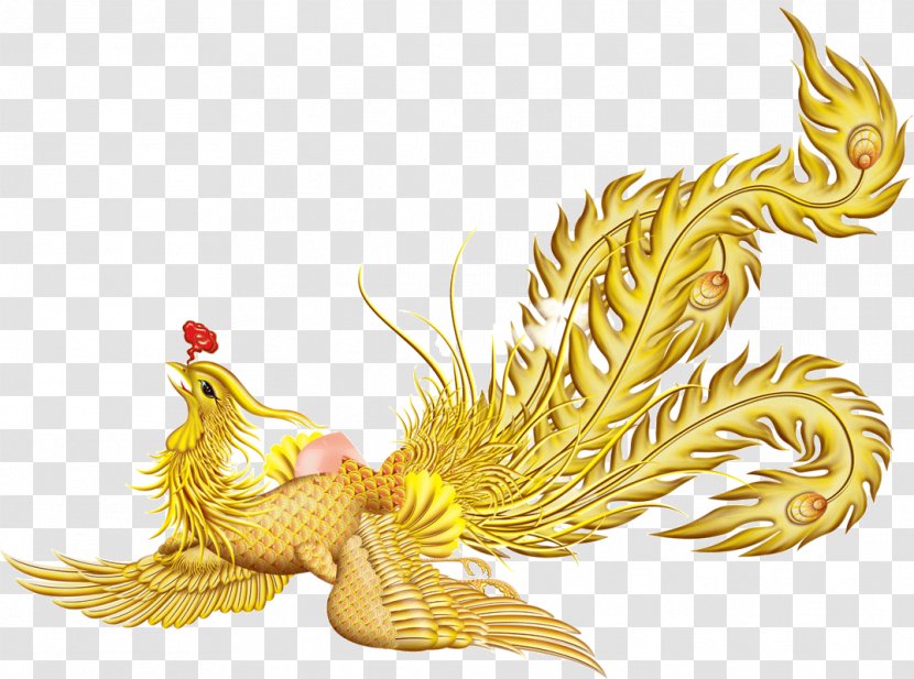 Fenghuang Download - Rooster - Phoenix Transparent PNG