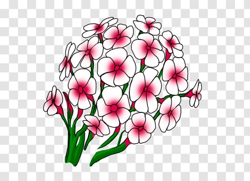 Floral Design Cut Flowers Flower Bouquet - Petal - DRAW Transparent PNG
