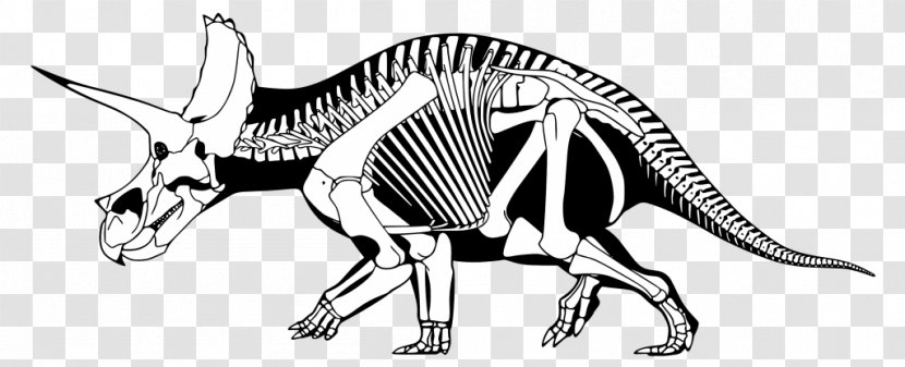 Triceratops Tyrannosaurus Maiasaura Brachyceratops Stegosaurus - Animal Figure - Dinosaur Skeleton Transparent PNG