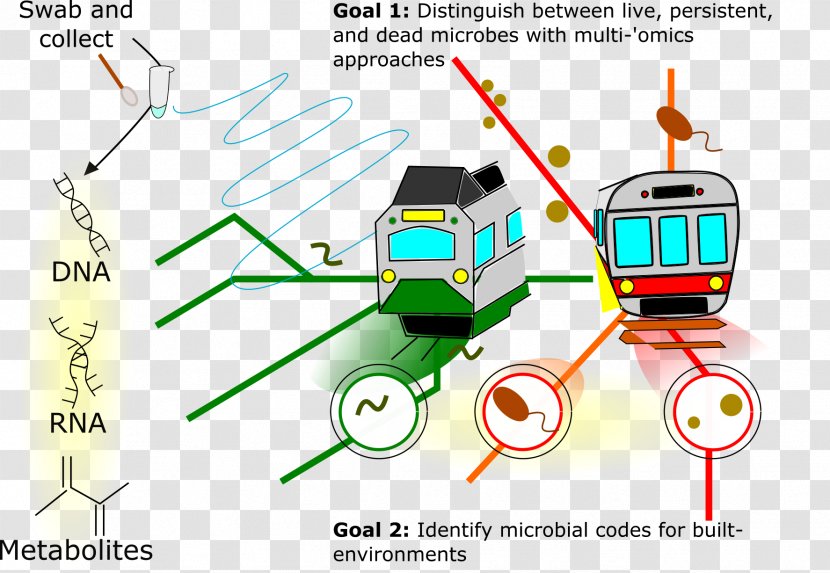 Metagenomics Bacteria Microorganism Microbial Ecology - Diagram Transparent PNG