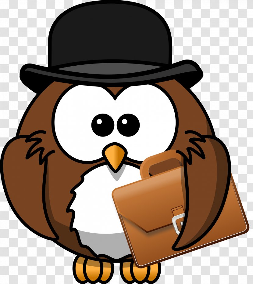 Owl Drawing Cartoon Clip Art - Illustrator Transparent PNG