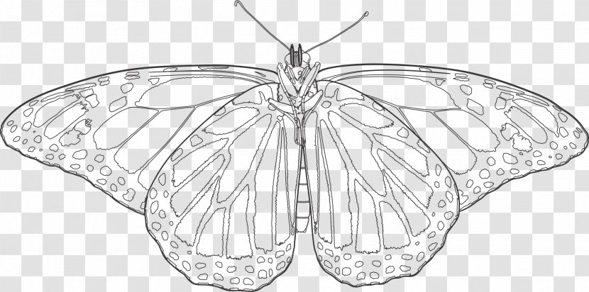 Monarch Butterfly Moth Brush-footed Butterflies Insect - Brush Footed Transparent PNG