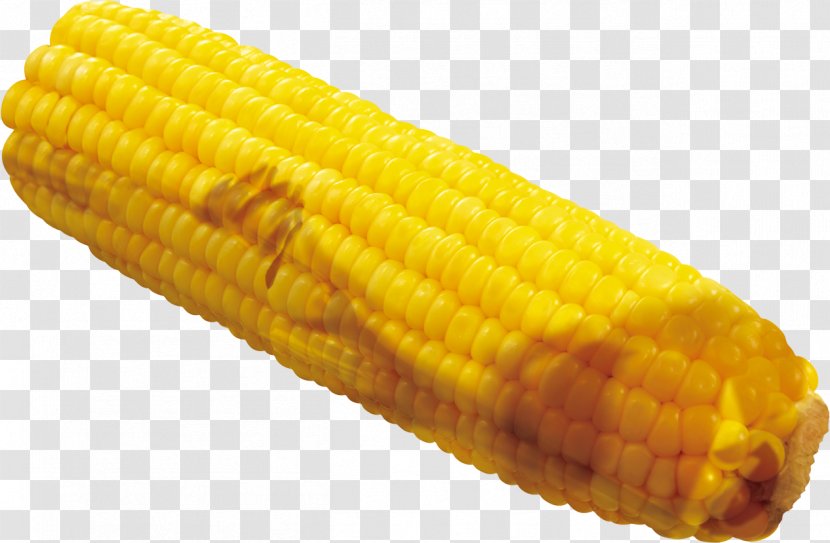 Corn On The Cob Maize Crop Google Images - Kernels - A Transparent PNG