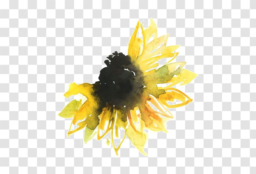 Watercolor Painting Tattoo Paper - Sunflower Seed Transparent PNG