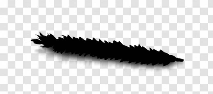 White Brush - Eye - Blackandwhite Transparent PNG