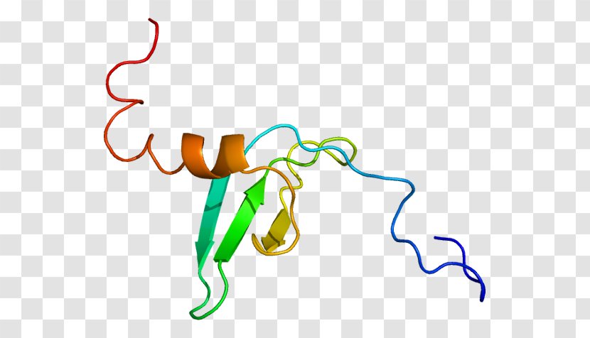 CBX1 Heterochromatin Protein 1 Ki-67 Histone - Watercolor - Cartoon Transparent PNG