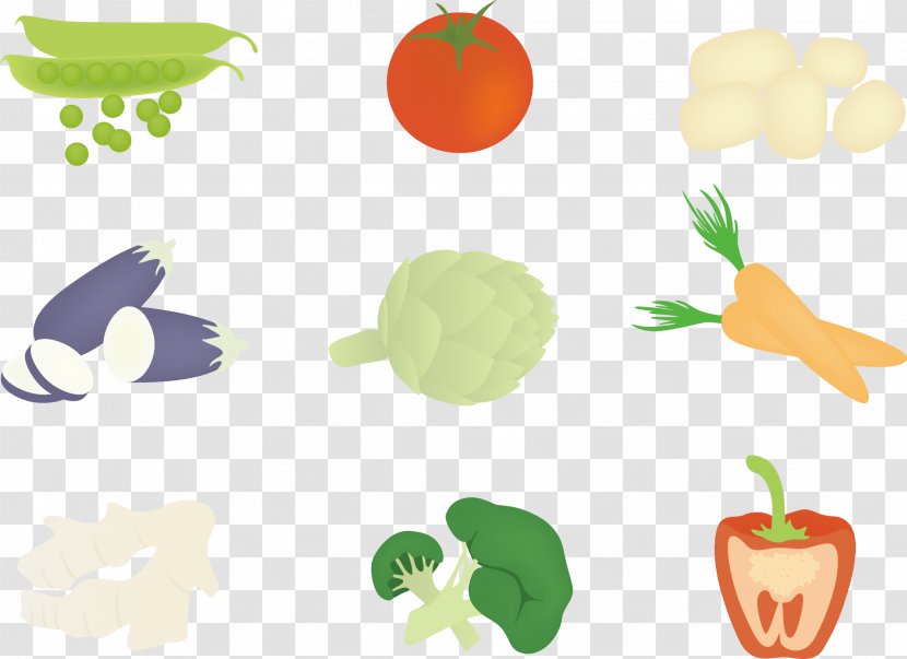 Illustration - Vegetable - Vector Vegetables Transparent PNG
