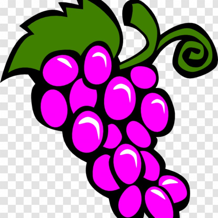 Common Grape Vine Clip Art Wine Vector Graphics Transparent PNG